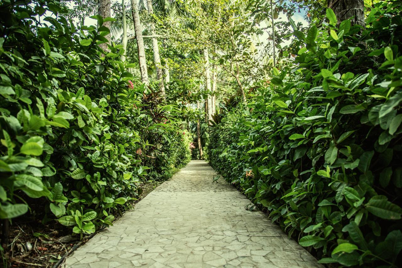 The Harmony Hotel Nosara Exterior photo